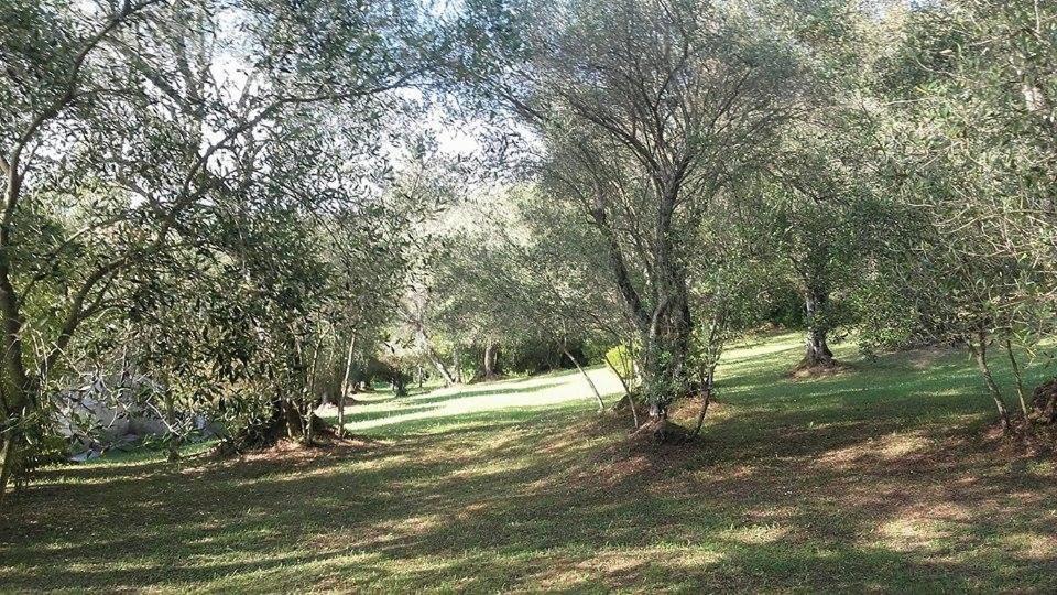 Karamali Green Danilia Villas Gouvia Eksteriør billede